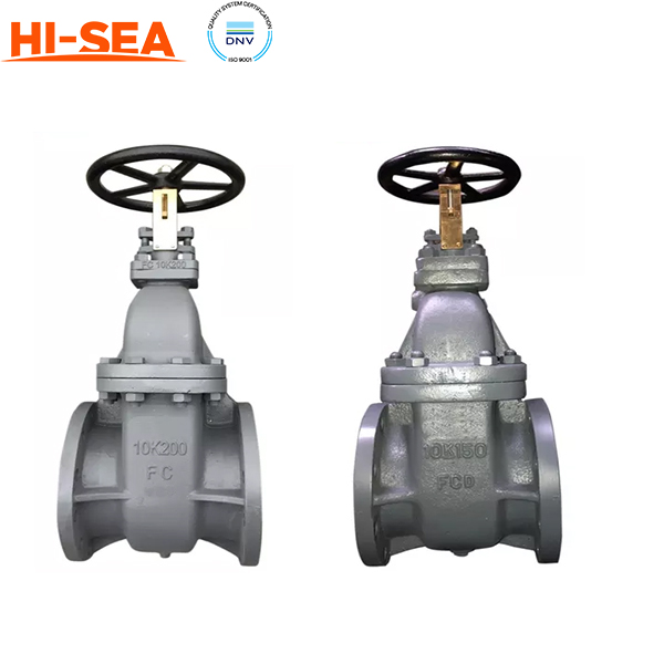 Marine Cast Iron Gate Valve